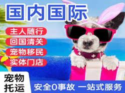 集宁航空快运国际宠物托运 【国